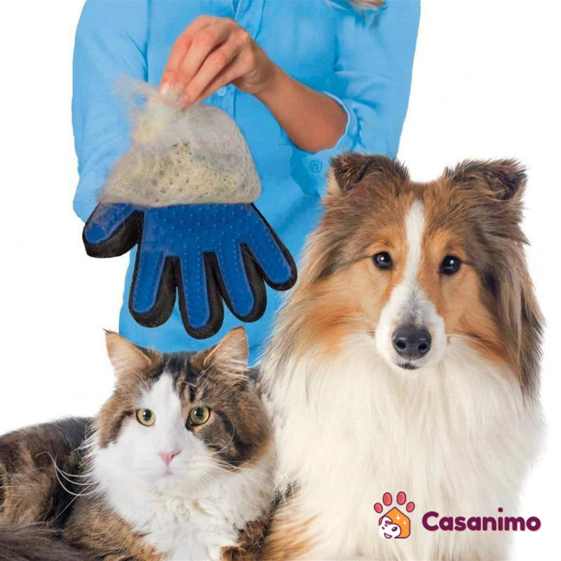 Gant anti poils chien chat