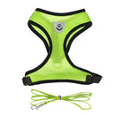 Harnais et sa laisse pour chat