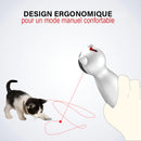 Jeu laser automatique chat