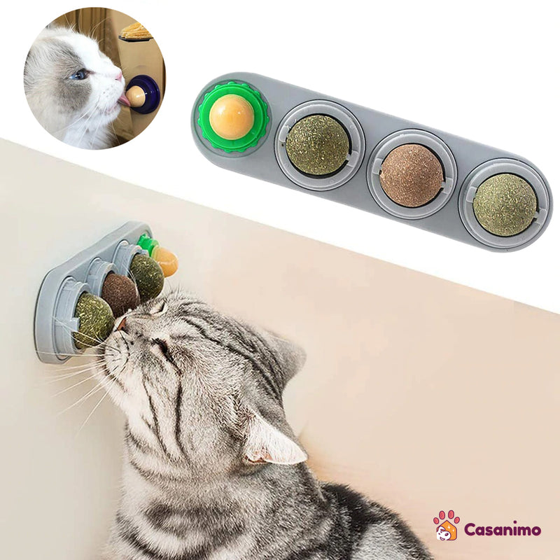 Candycat : Sucette et boules d'herbe à chat