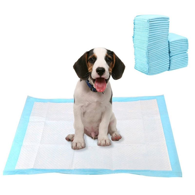 tapis absorbant éducatif chien