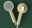 2en1 Brosse UV anti poils et bactéricide
