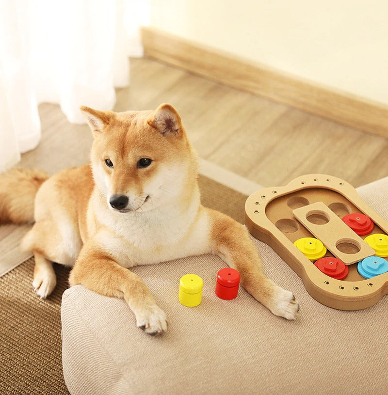 IQ Game : jeu de logique à friandises