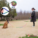 Longe d'éducation chien prise en main optimale