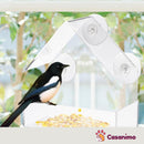 Mangeoire oiseaux à ventouses