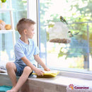 Mangeoire oiseaux à ventouses