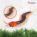 Jeu mille patte rampant chat chien