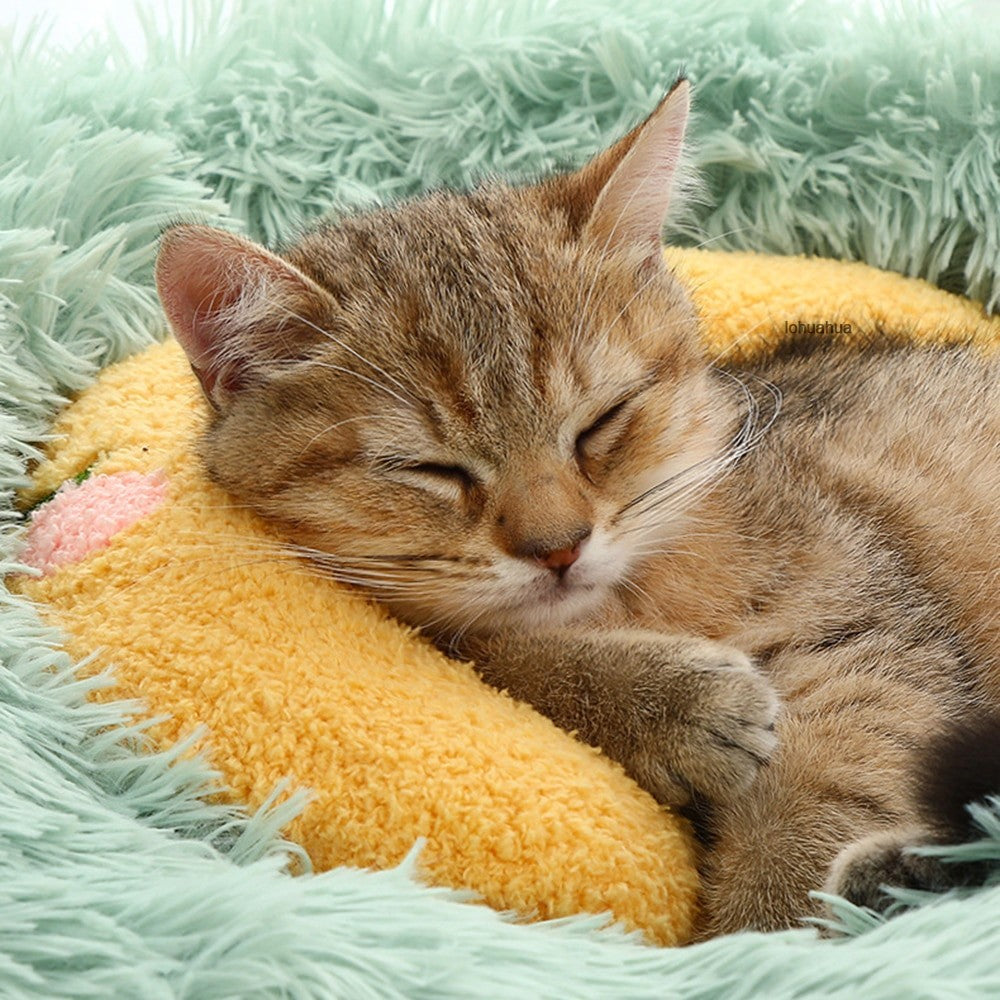 Oreiller pour chat