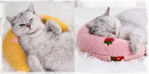 Oreiller pour chat