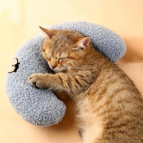 Oreiller pour chat