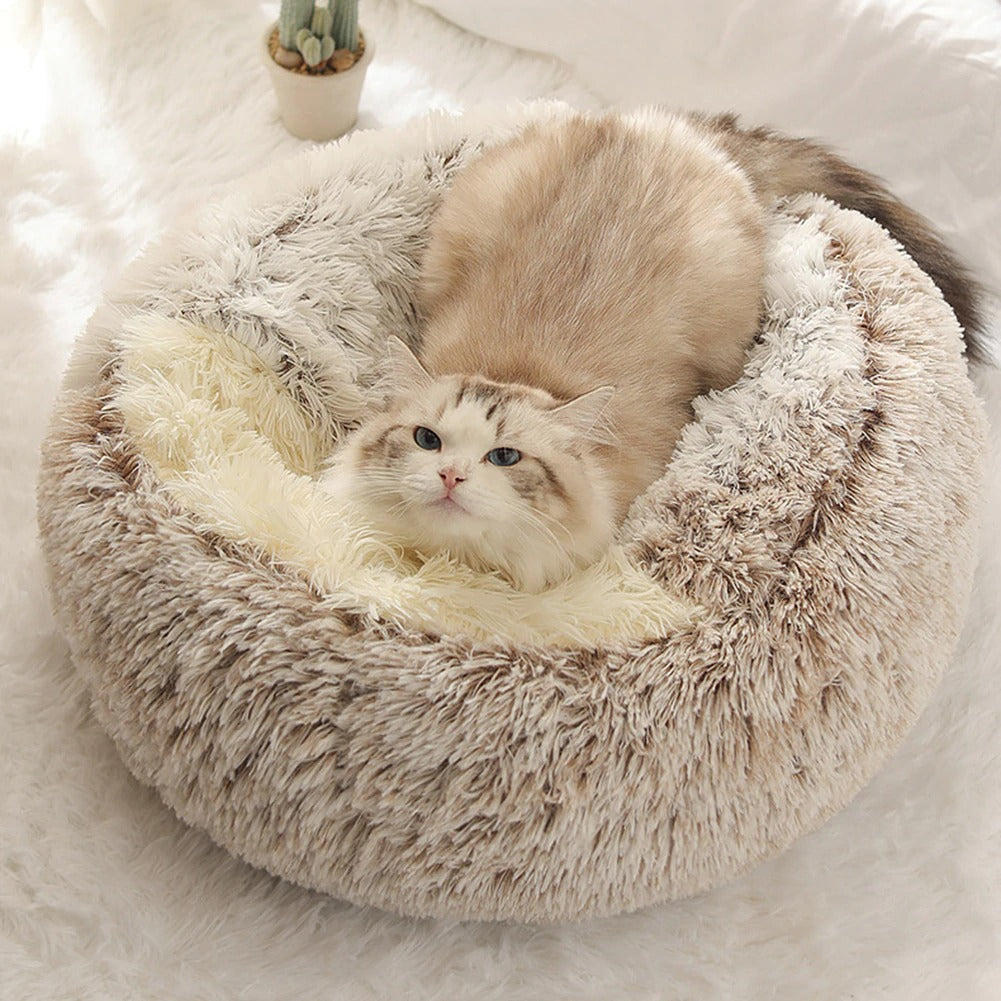 Coussin chaud et doux pour chien et chat