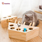 Jeu piano chat