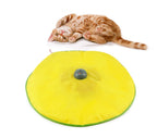 soucoupe à suspense chat