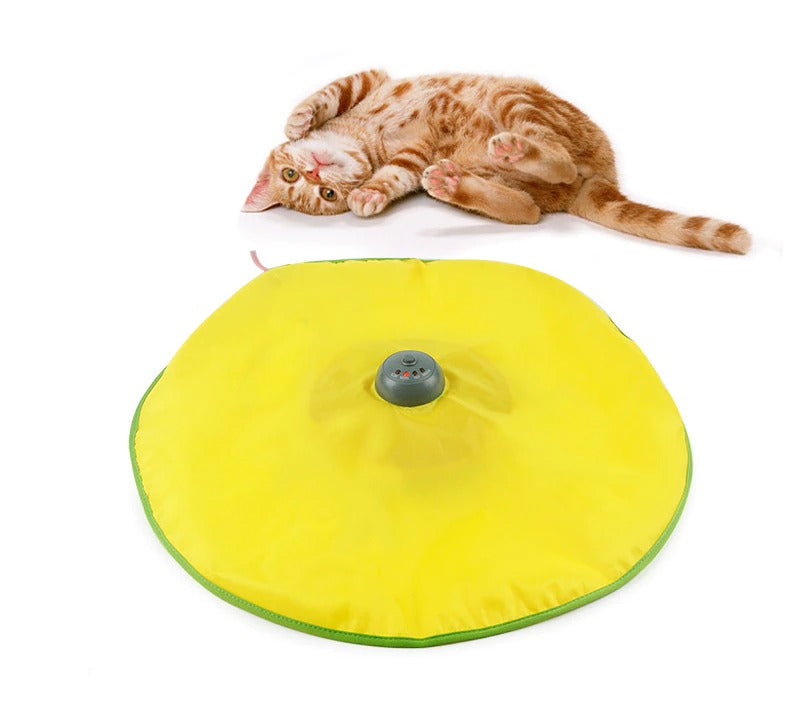 soucoupe à suspense chat