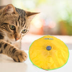 soucoupe à suspense chat