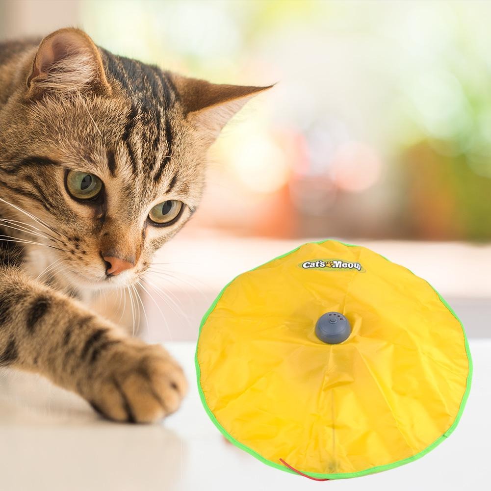 soucoupe à suspense chat