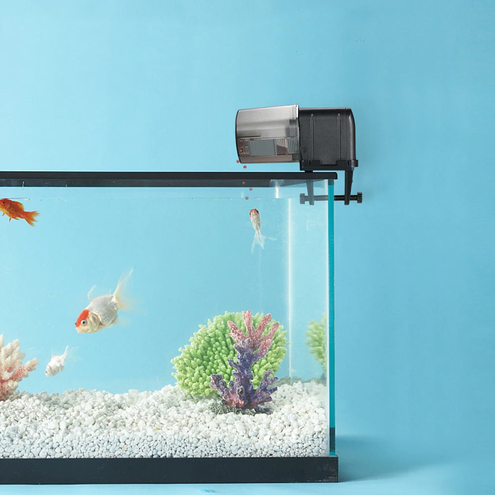 Distributeur de granulés pour poissons WIFI