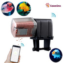 Distributeur de granulés pour poissons WIFI