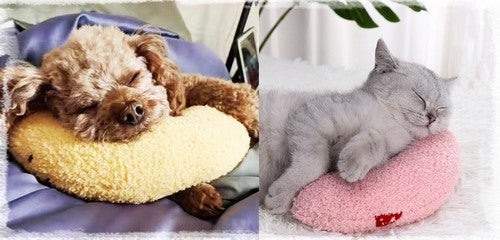 Oreiller pour chat
