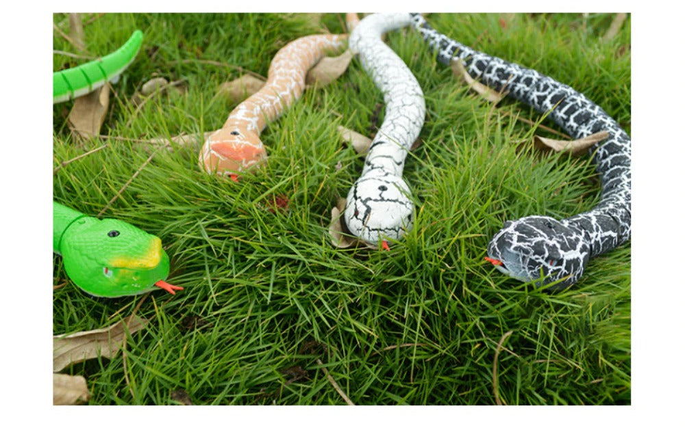 Le serpent rampant télécommandé