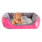 CozySofa : Le coussin Douillet et Moelleux