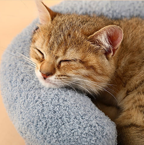 Oreiller pour chat