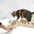 jeu piano chat