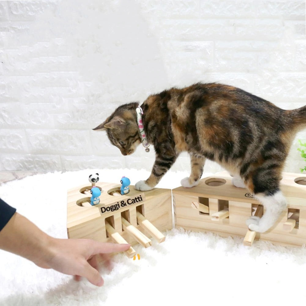 jeu piano chat