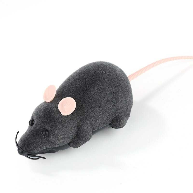 Jouet chat Souris télécommandée