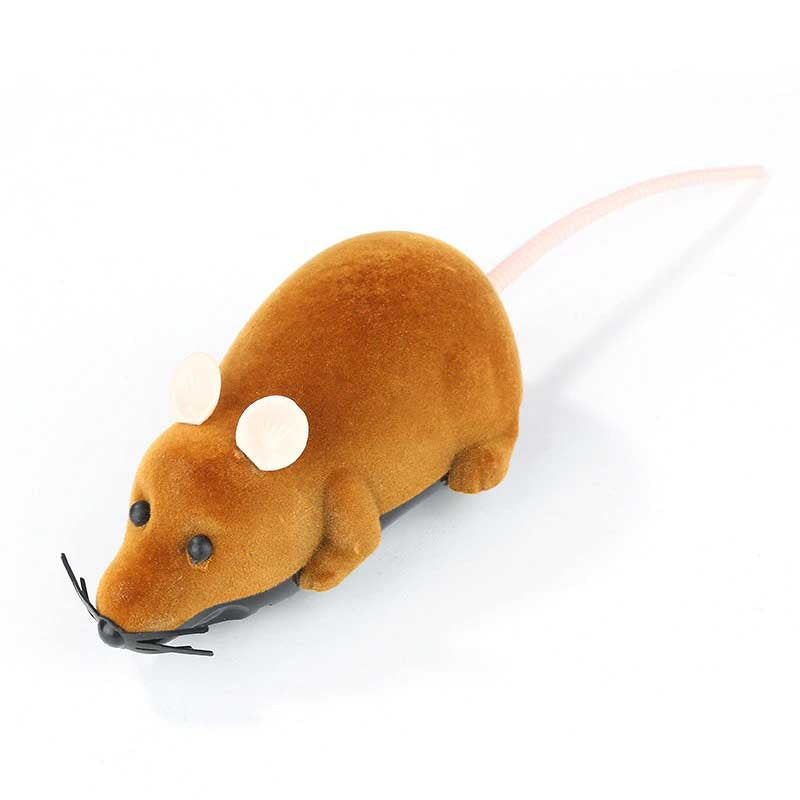 Jouet chat Souris télécommandée