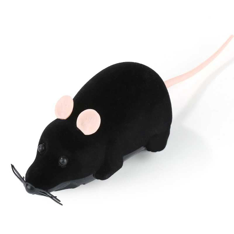 Jouet chat Souris télécommandée