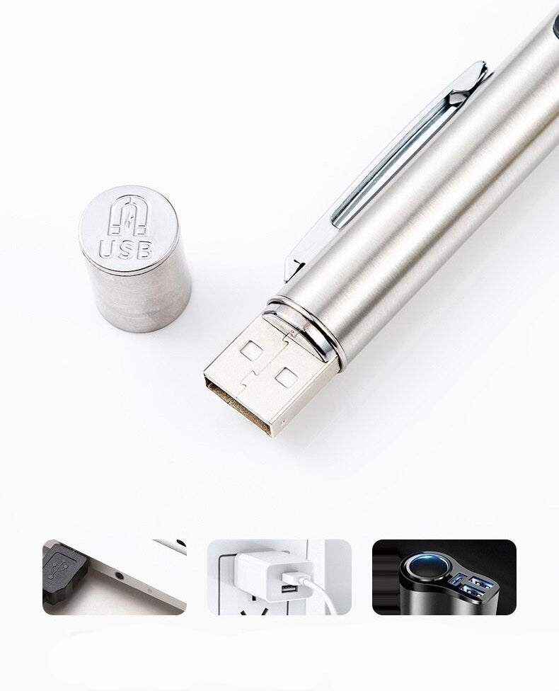 Stylo Lampe UV Détecteur de Parasites, Maladies et Urine