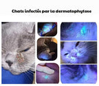 Stylo Lampe UV Détecteur de Parasites, Maladies et Urine