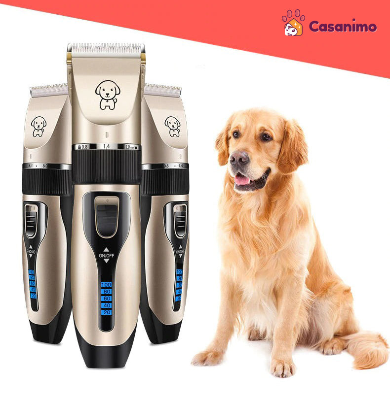 Kit tondeuse rechargeable pour chien