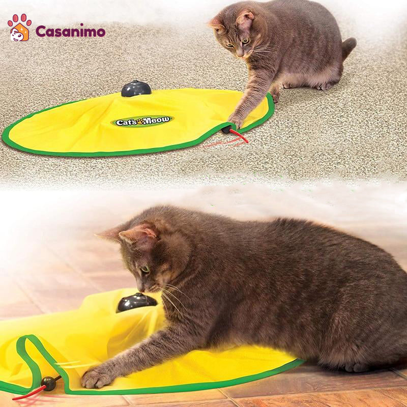 soucoupe à suspense chat